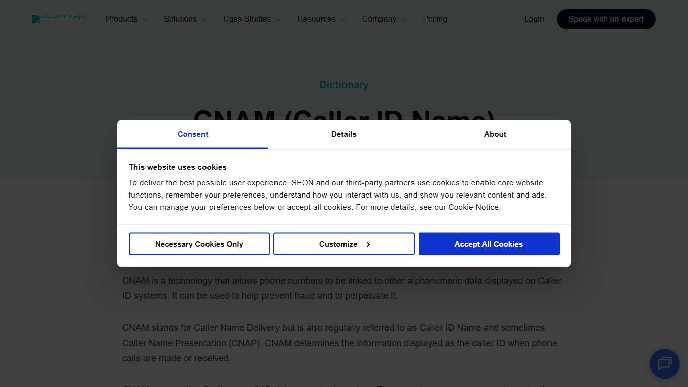 What Is CNAM? How Does Caller ID Name Work? | SEON